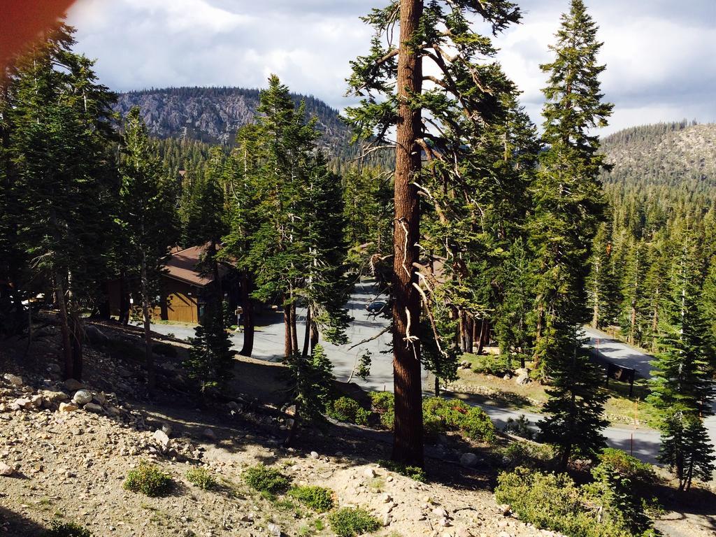 Mammoth Point By 101 Great Escapes *